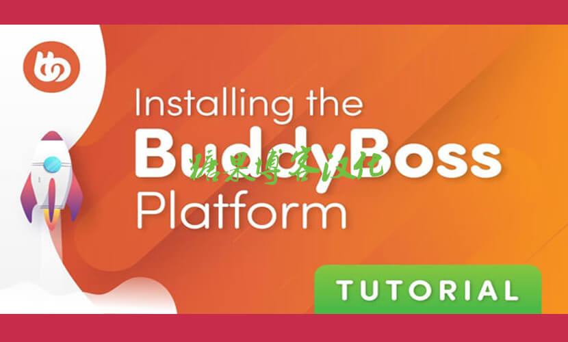 BuddyBoss Platform Pro – 在线社区插件(已汉化)