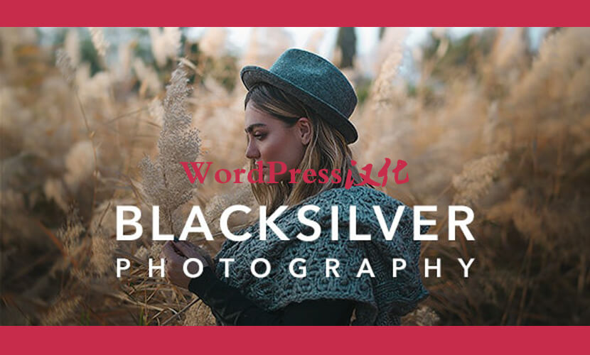 Blacksilver英文版主题 – 摄影WordPress主题-糖果博客