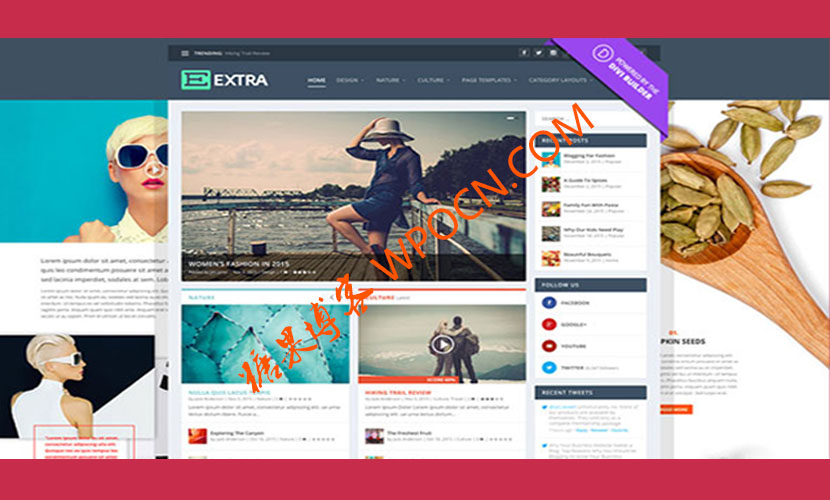 Extra英文版主题 - 新闻杂志WordPress主题-糖果博客