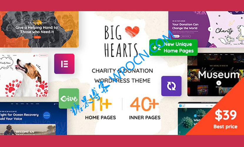 BigHearts英文版主题 – 慈善和捐赠WordPress主题-糖果博客