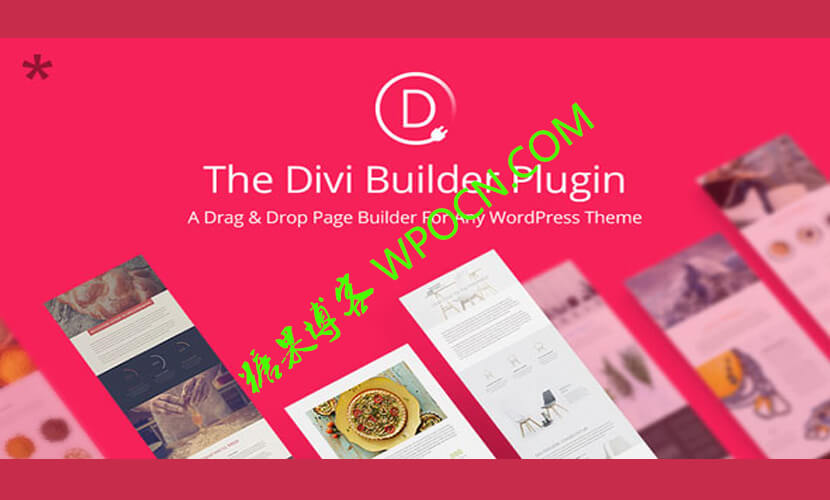 Divi Builder – 页面构建器插件(已汉化)-糖果博客